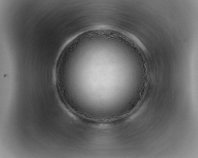 X0000115730839200911191410