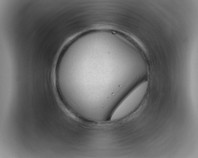 X0000115730840200911191410