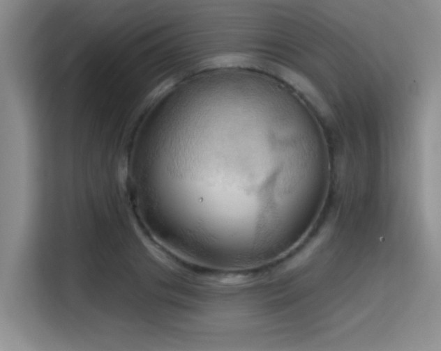 X0000115730841200911191410