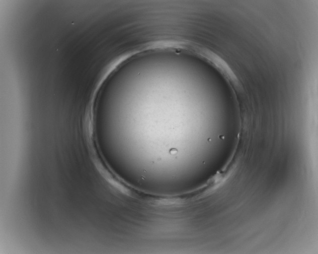 X0000115730844200911191410