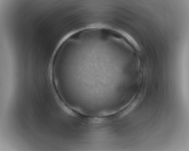 X0000115730854200911191411