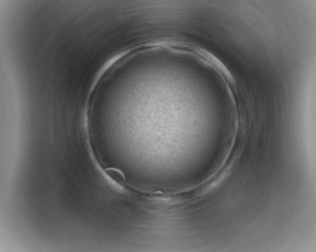 X0000115730855200911191411