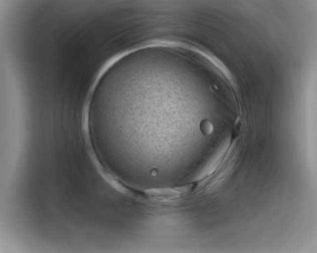 X0000115730862200911191411