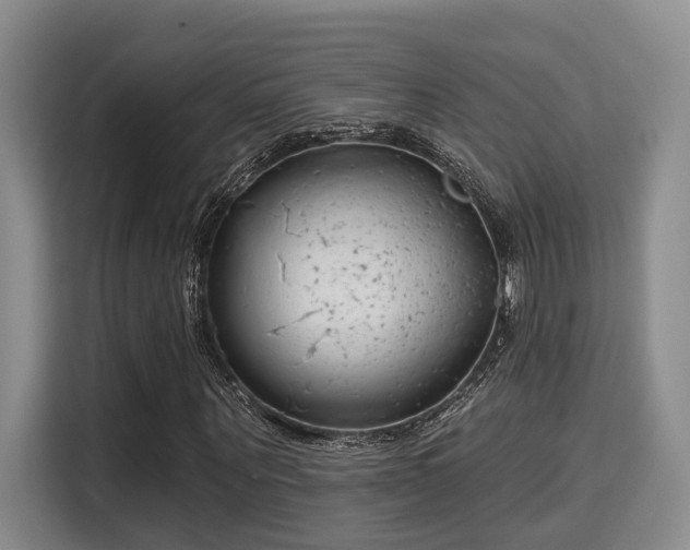 X0000115730867200911191410