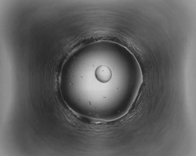 X0000115730868200911191410