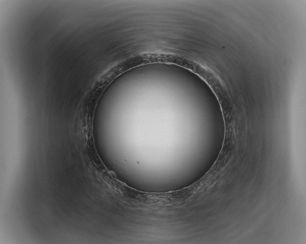 X0000115730870200911191410