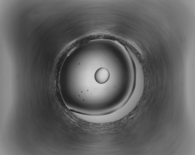 X0000115730872200911191410