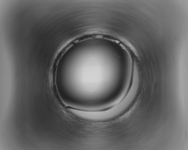 X0000115730877200911191410