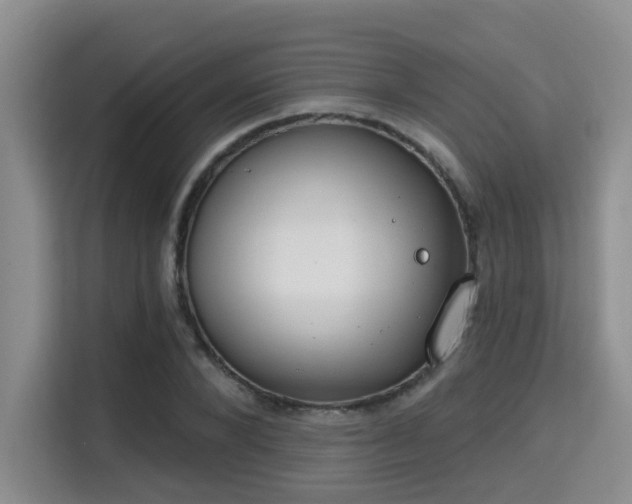 X0000115730880200911191410