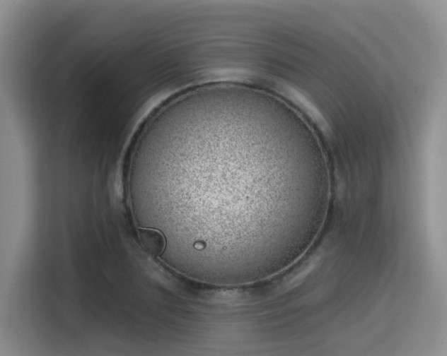 X0000115730883200911191410