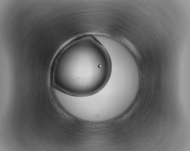 X0000115730884200911191410