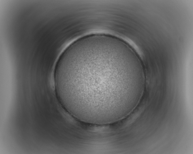 X0000115730887200911191410