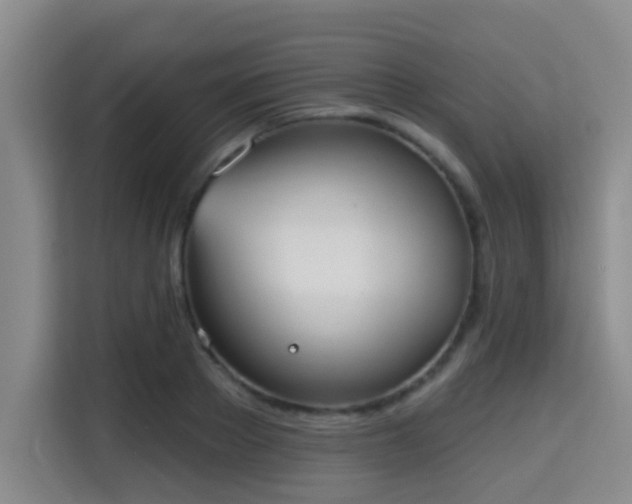 X0000115730889200911191410