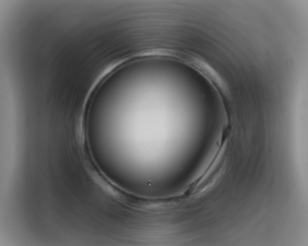 X0000115730892200911191410