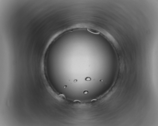 X0000115730896200911191410