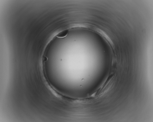 X0000115730898200911191410