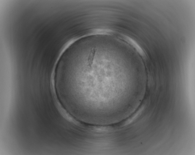 X0000115730899200911191410