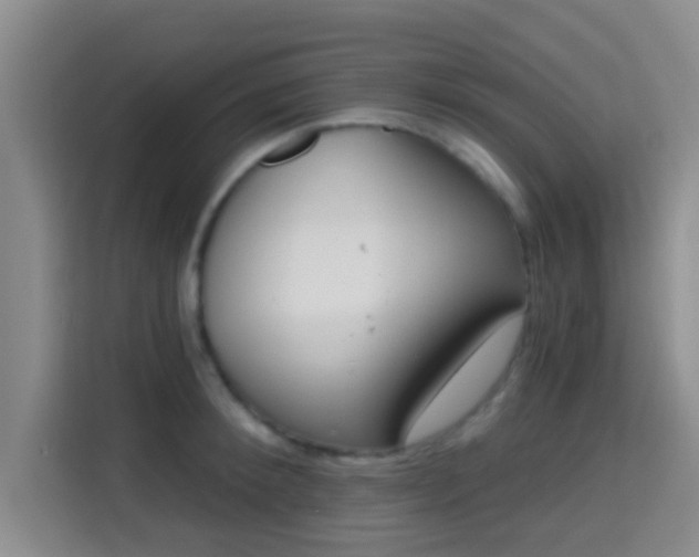 X0000115730900200911191410