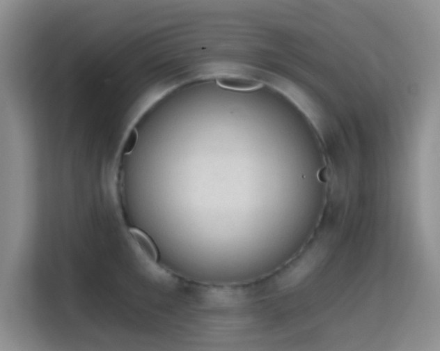 X0000115730901200911191410