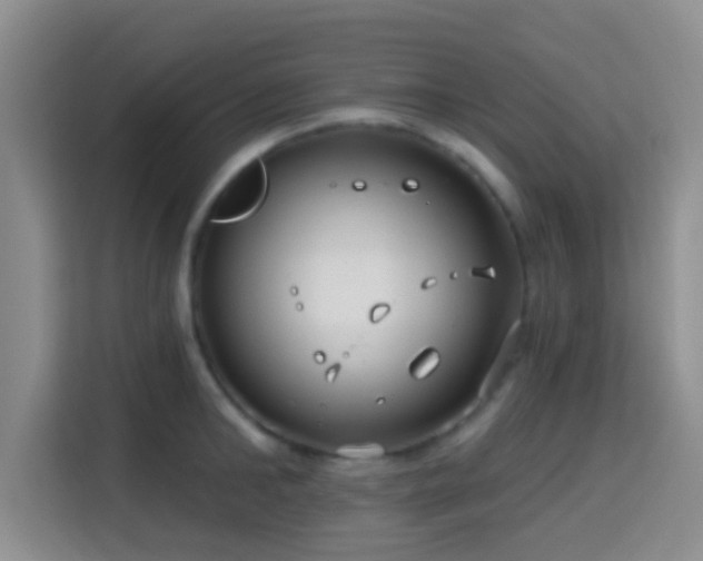 X0000115730902200911191410