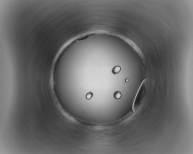 X0000115730904200911191410