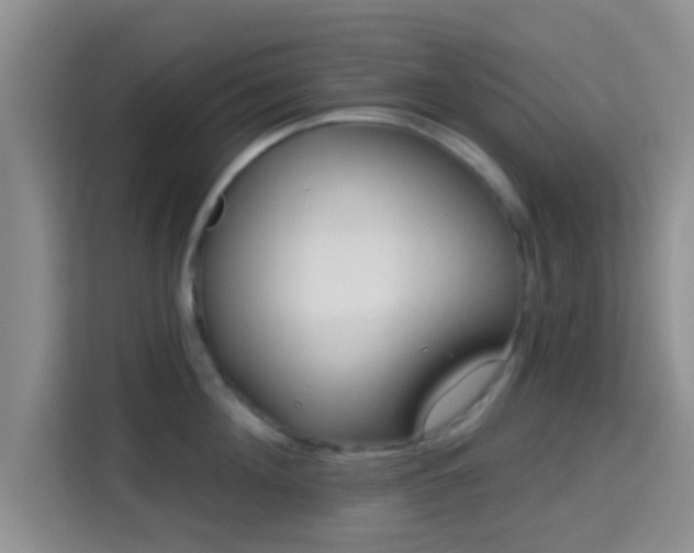 X0000115730908200911191409