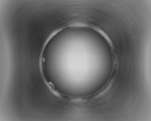 X0000115730909200911191409