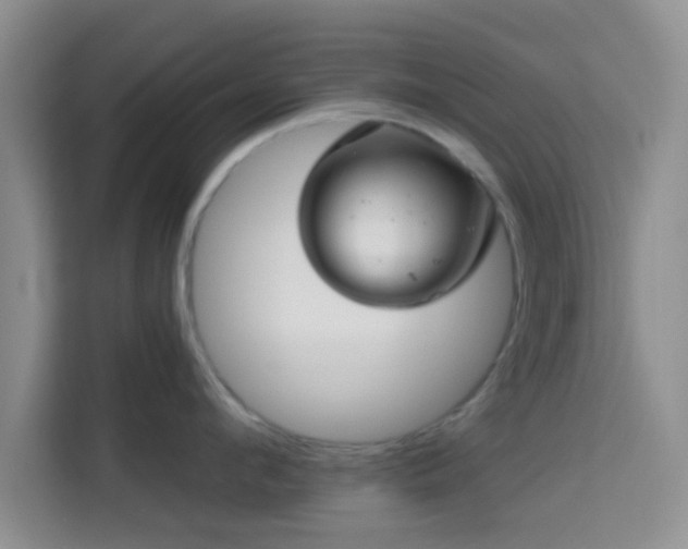 X0000115730912200911191409