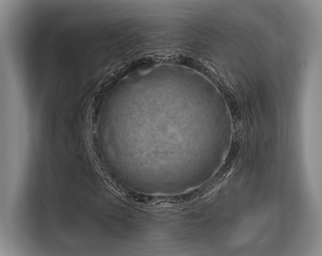 X0000115730913200911191409