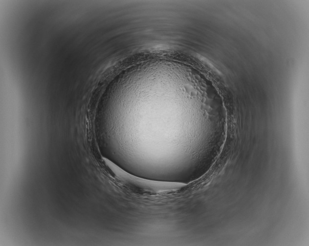 X0000115730917200911191409