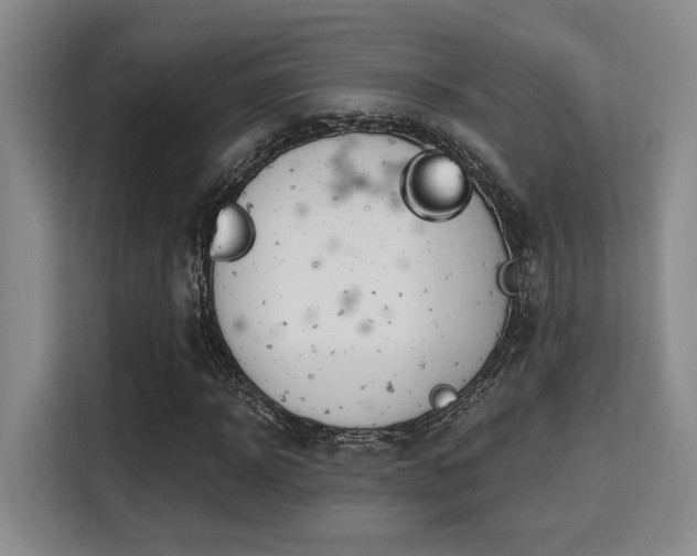 X0000115730918200911191409