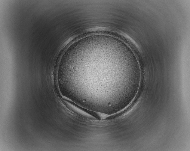 X0000115730921200911191409