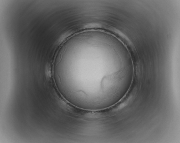 X0000115730929200911191409