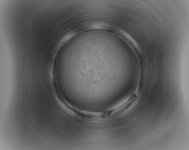 X0000115730938200911191409