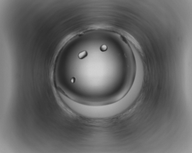 X0000115730946200911191409