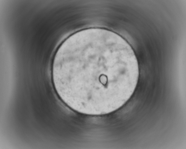 X0000115730950200911191409