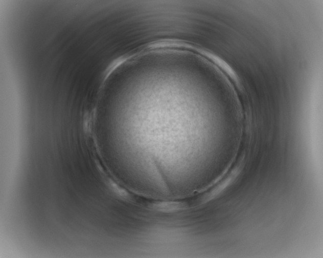 X0000115730953200911191409