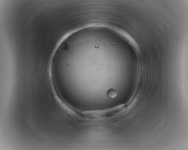 X0000115730958200911191409