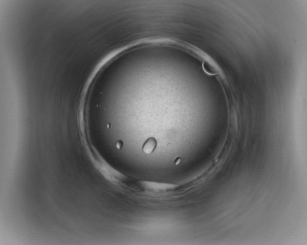 X0000115730959200911191409