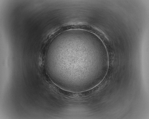 X0000115730966200911191409