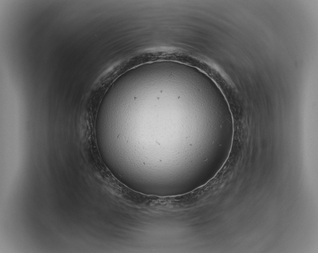 X0000115730967200911191409