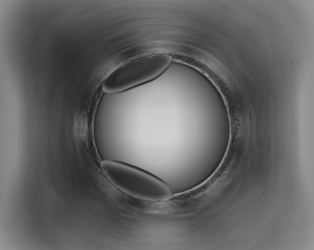 X0000115730969200911191409