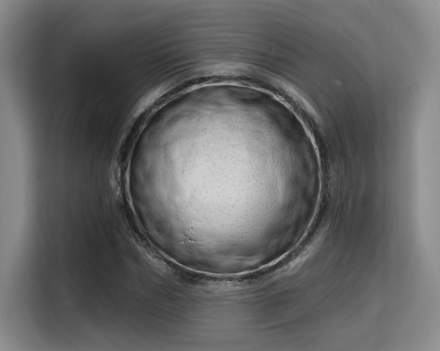 X0000115730970200911191409