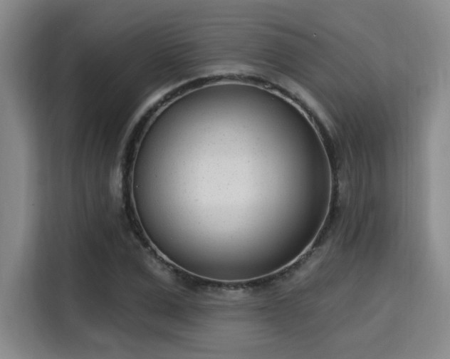 X0000115730975200911191409