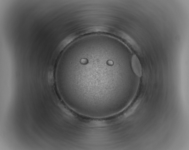 X0000115730977200911191409