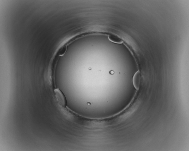 X0000115730981200911191409