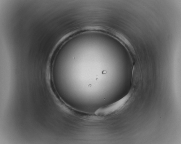 X0000115730984200911191409