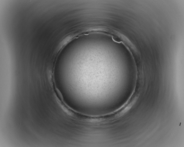 X0000115730985200911191408