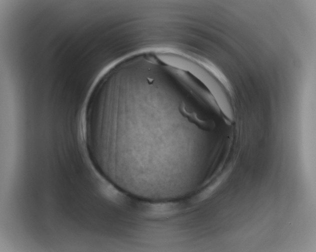 X0000115730988200911191408