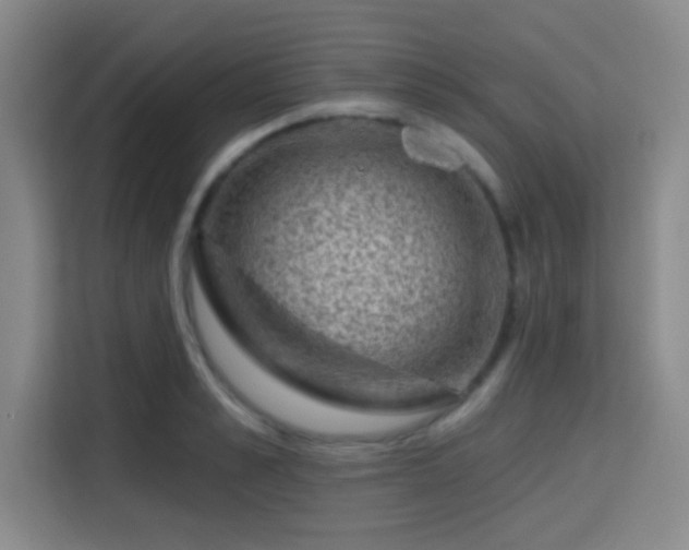 X0000115730989200911191408